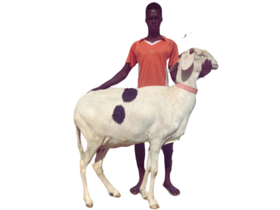 Poupette fille de Commandante