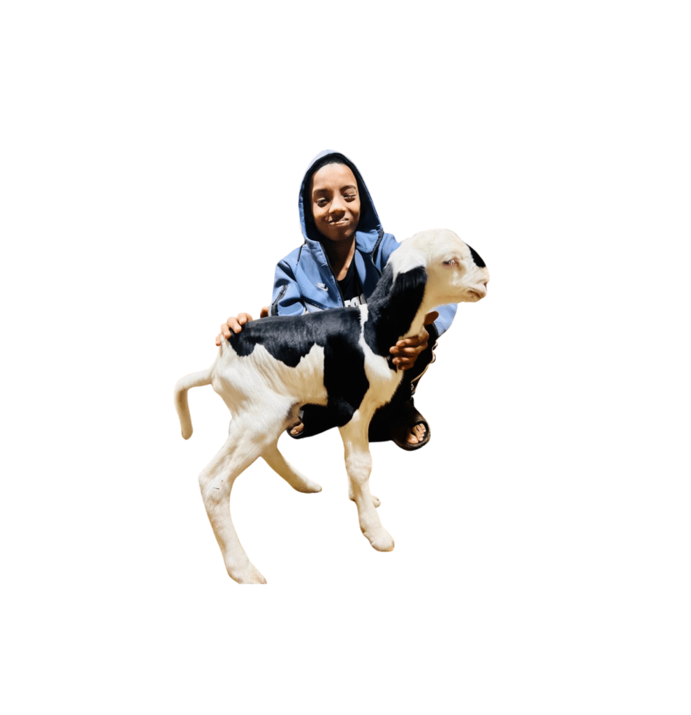 Le caÏd fils de noblesse