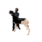 drakkar junior fille de Alou boy