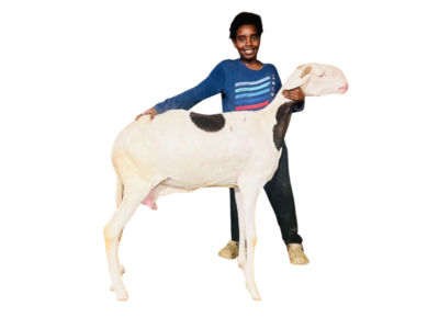 MOUNA fils de Alou Boy