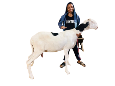 Athena fille de Milky