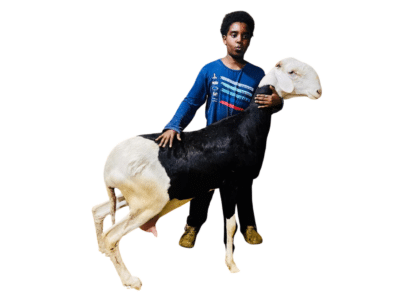 kira fille de kaaris