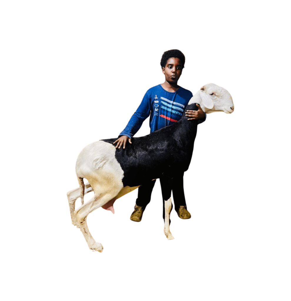 kira fille de kaaris