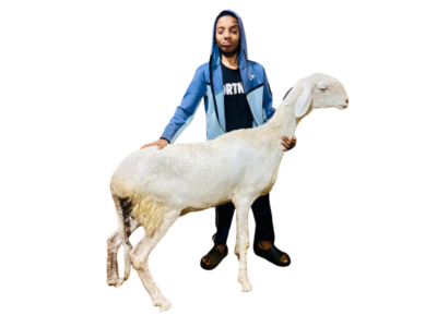 oreille noire fille de Milky